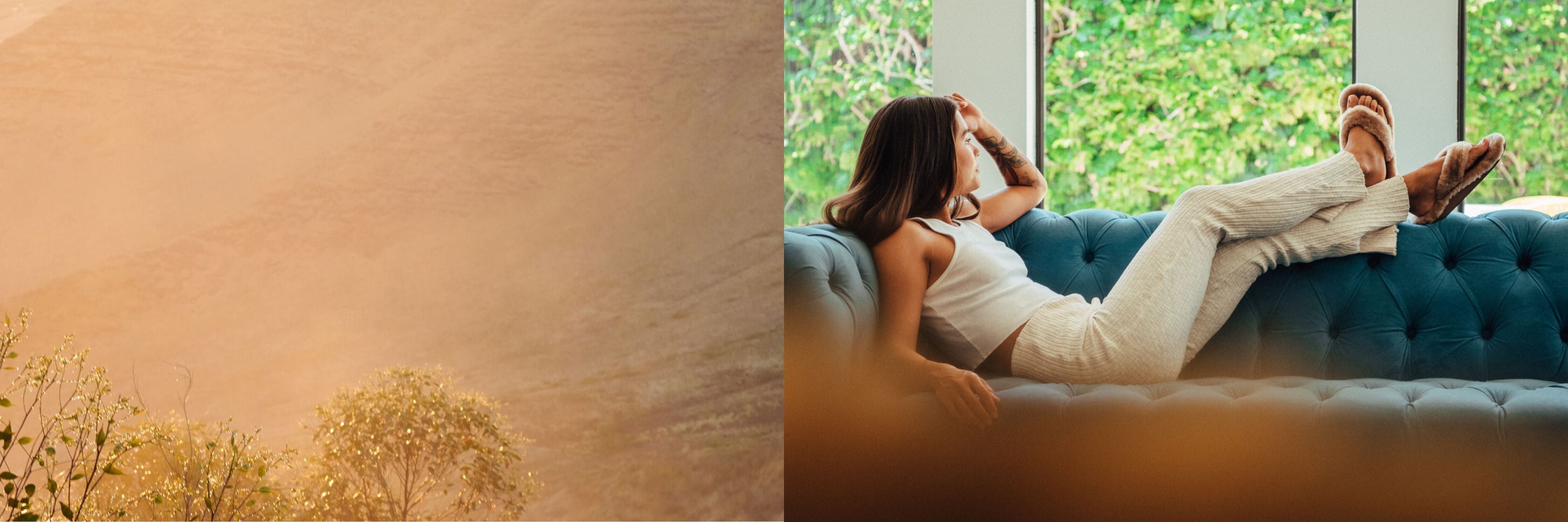 fallback text for an image